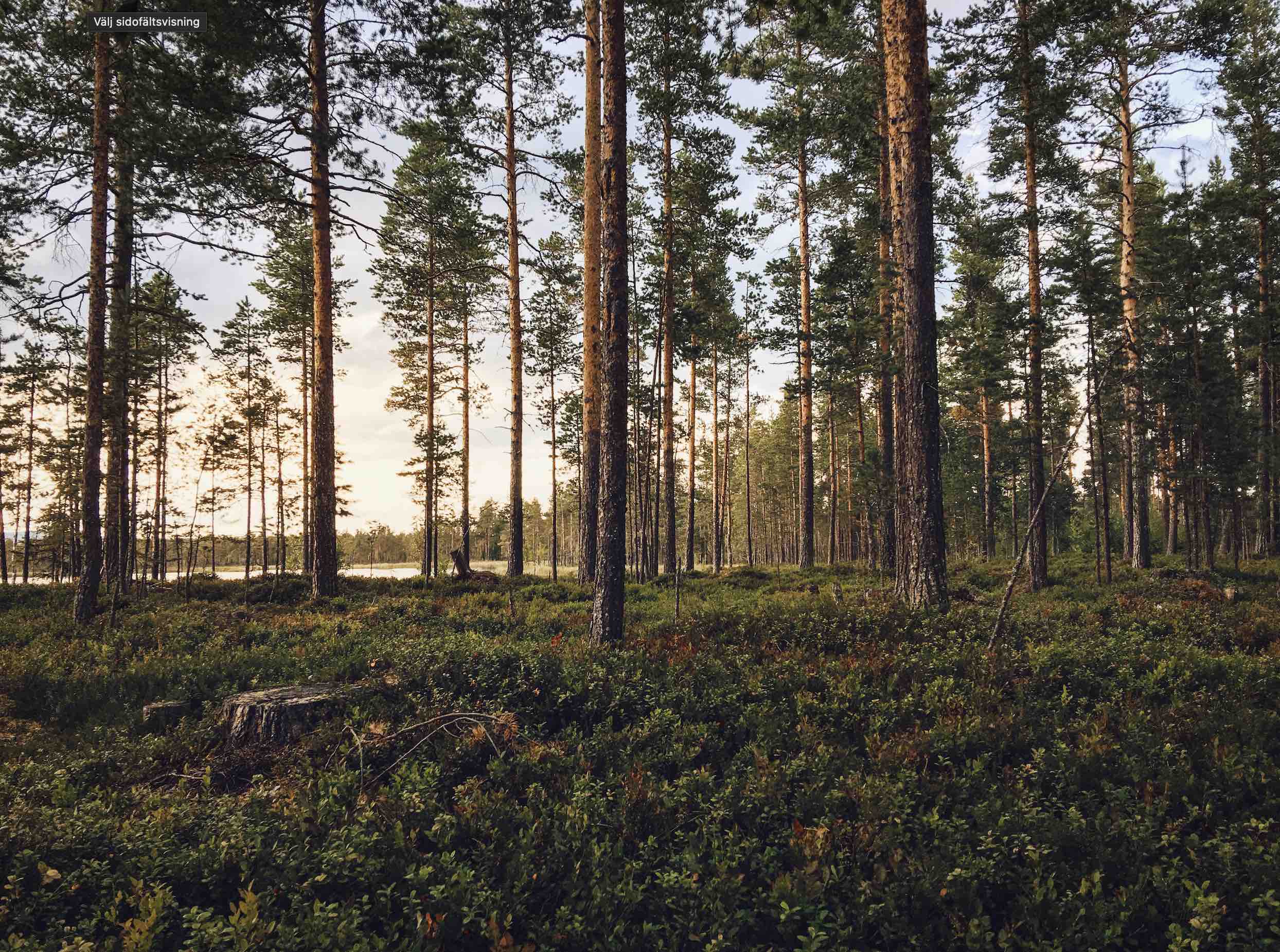Värmepump luft luft